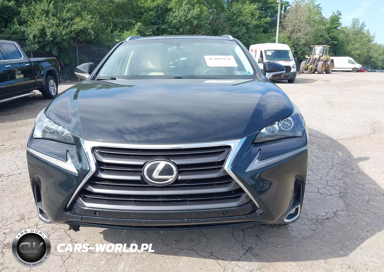 2016 Lexus Nx 200T VIN:JTJBARBZ2G2095050 - 13