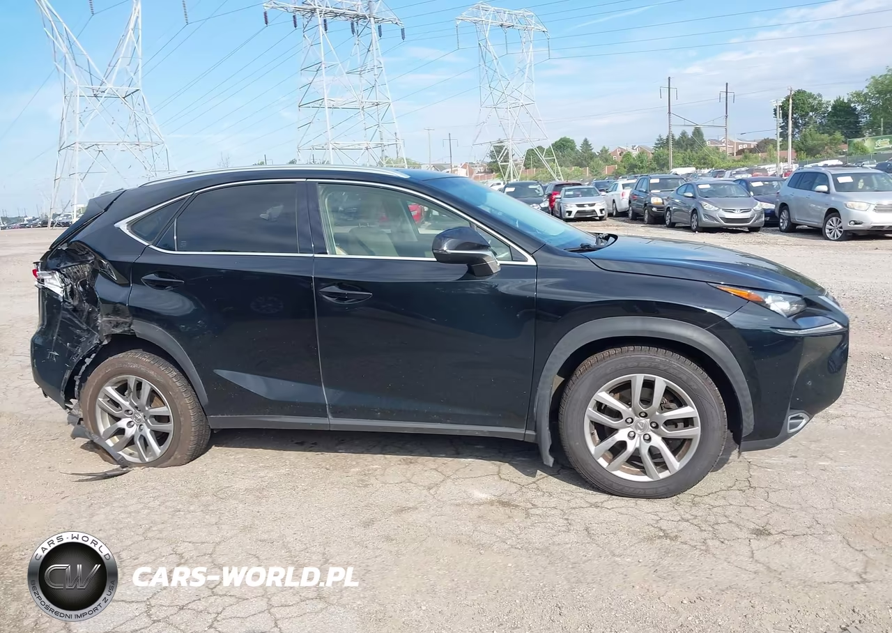 2016 Lexus Nx 200T VIN:JTJBARBZ2G2095050 - 14