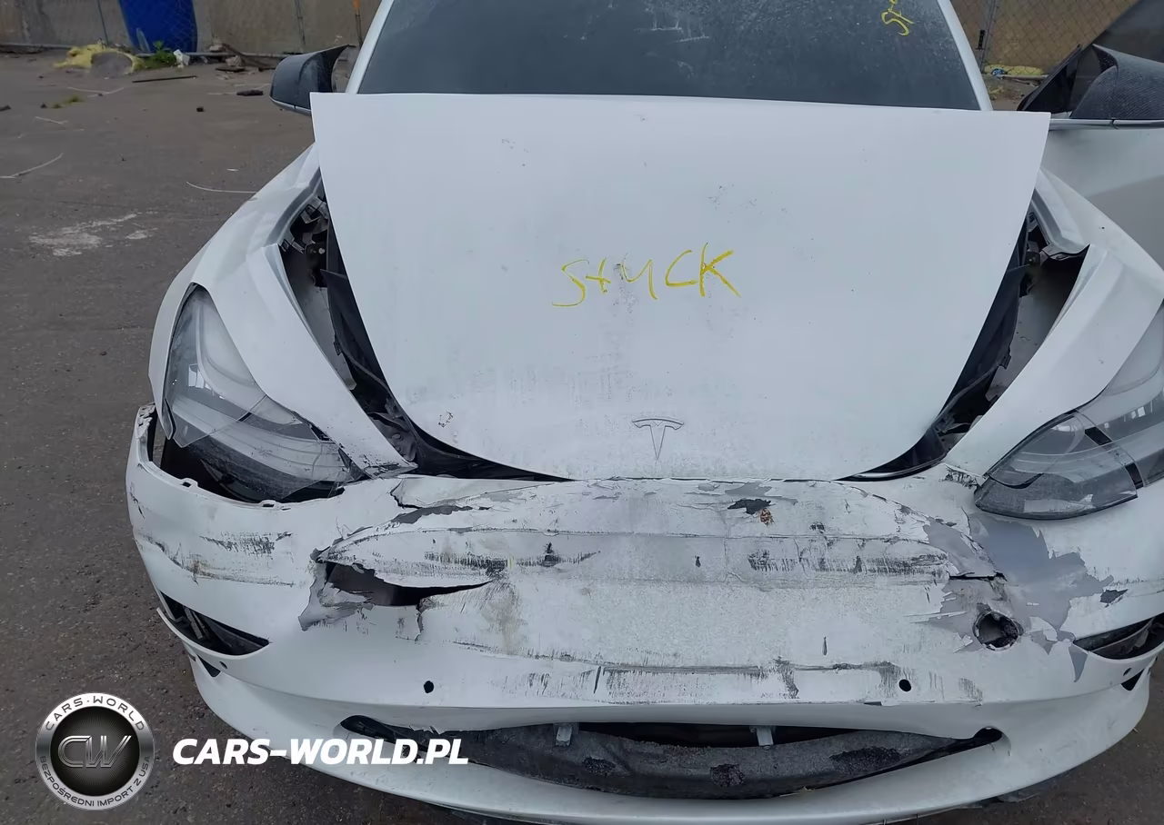 2019 Tesla Model 3 Long Range-Performance VIN:5YJ3E1EB8KF440406 - 10