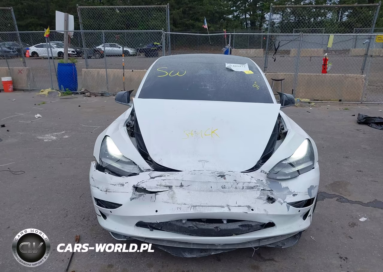 2019 Tesla Model 3 Long Range-Performance VIN:5YJ3E1EB8KF440406 - 12