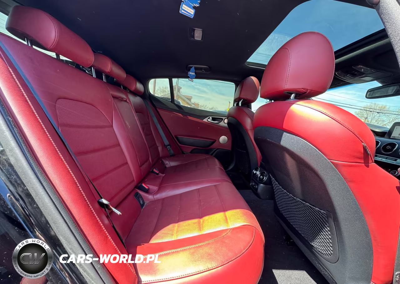 2019 Kia Stinger Gt2 VIN:KNAE55LC9K6057823 - 6