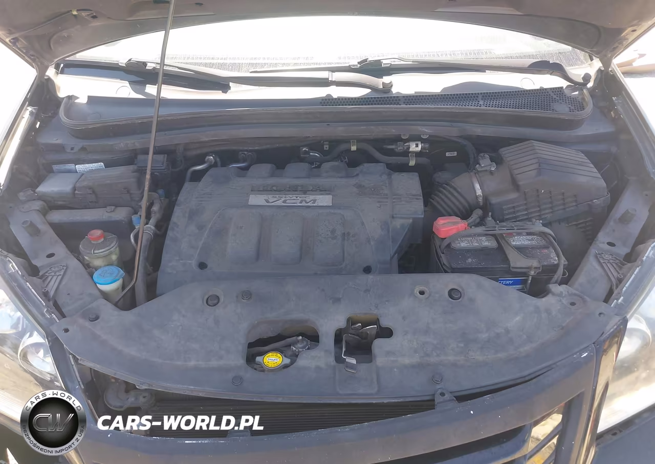 2009 Honda Odyssey Ex-L VIN:5FNRL387X9B027545 - 10