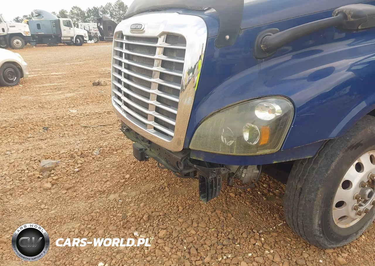 2016 Freightliner Cascadia 125 VIN:3AKJGLD54GSHR8549 - 10
