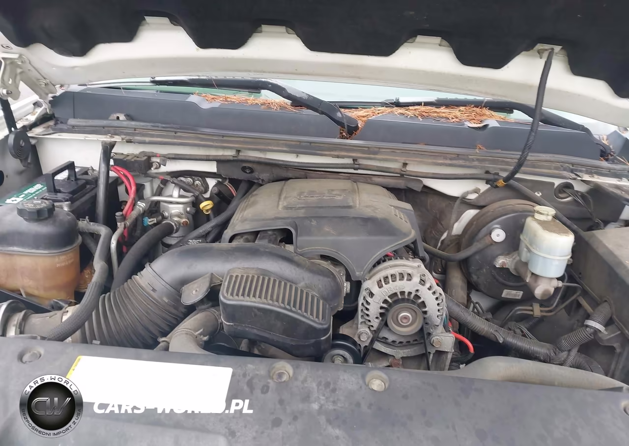 2007 Chevrolet Silverado 1500 Work Truck VIN:1GCEC14C67Z555435 - 10