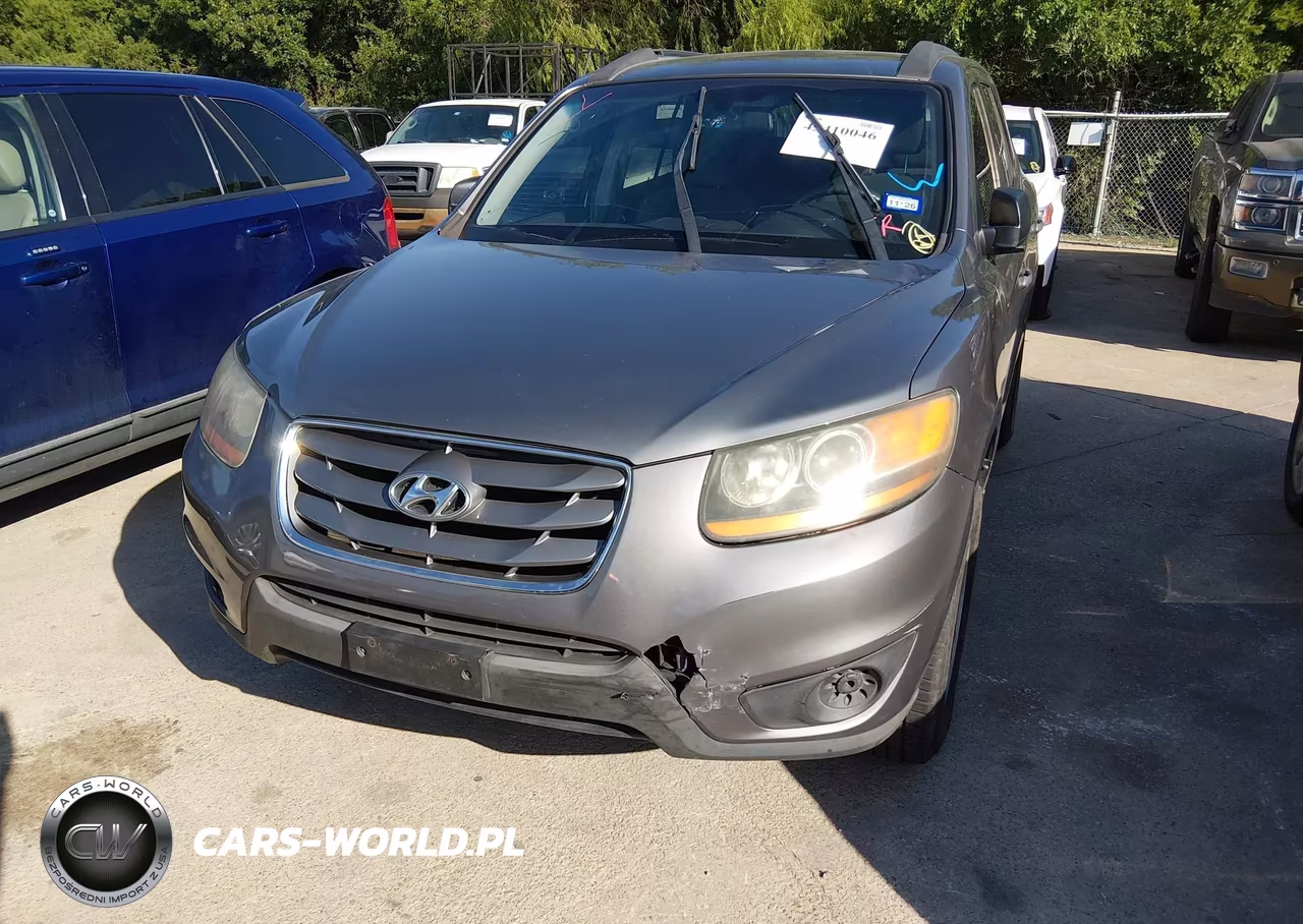2010 Hyundai Santa Fe Gls VIN:5NMSGDAB6AH380507 - 6