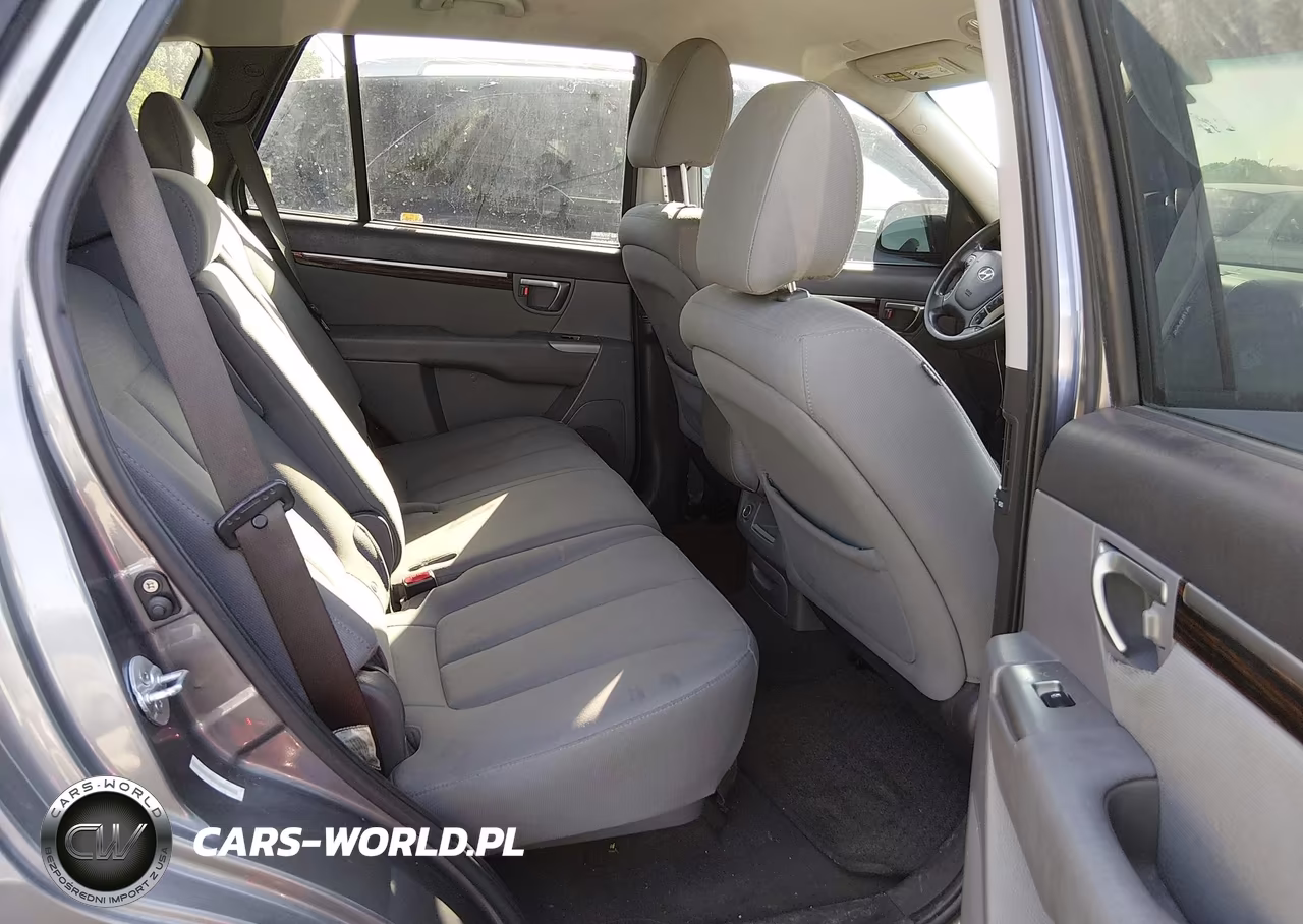 2010 Hyundai Santa Fe Gls VIN:5NMSGDAB6AH380507 - 8