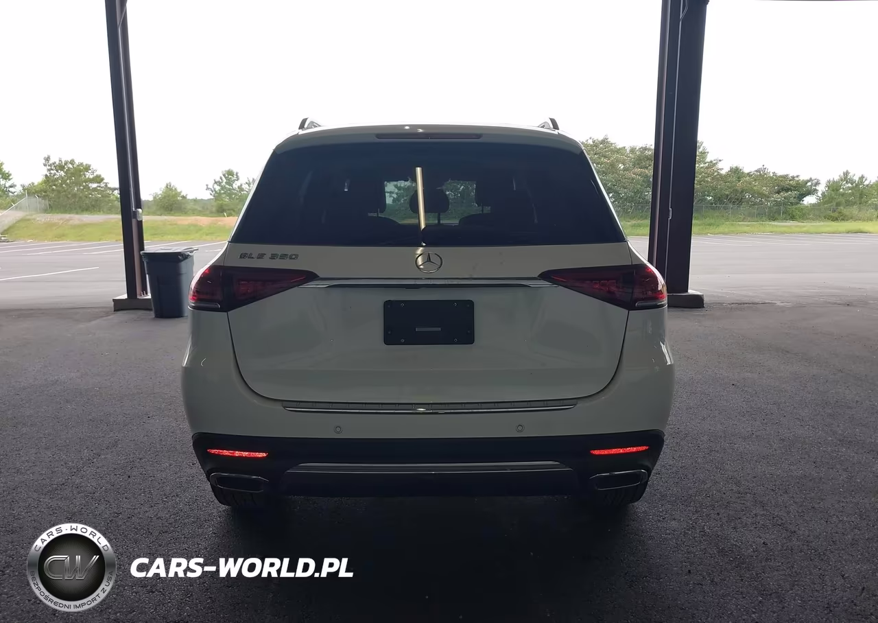 2020 Mercedes-Benz Gle 350 VIN:4JGFB4JB8LA194119 - 17