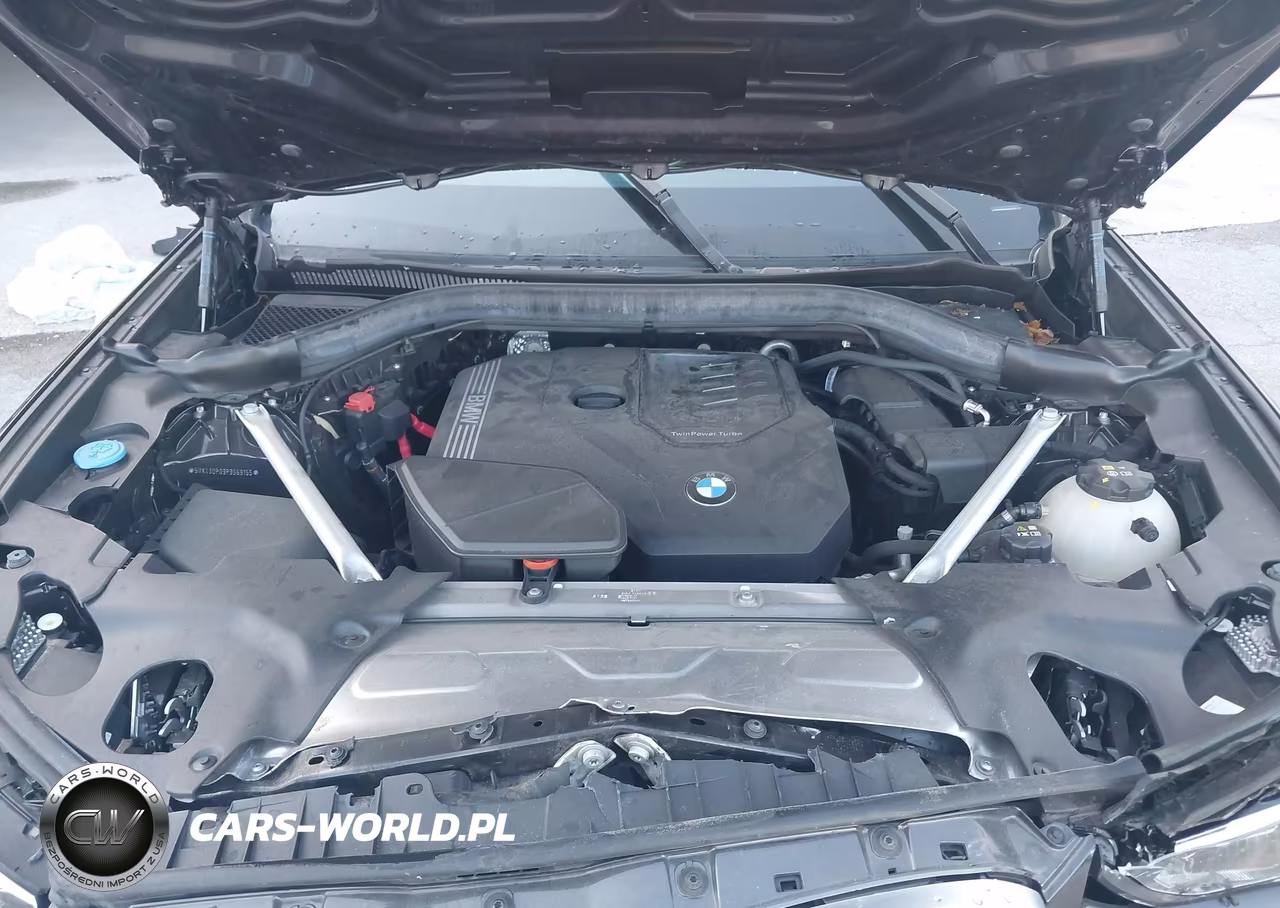 2023 BMW X3 Sdrive30I VIN:5UX43DP09P9S69155 - 10