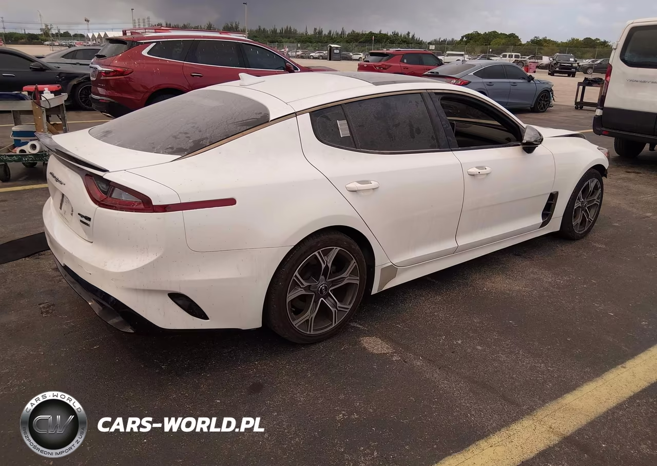 2020 Kia Stinger Gt-Line VIN:KNAE15LA3L6084463 - 4