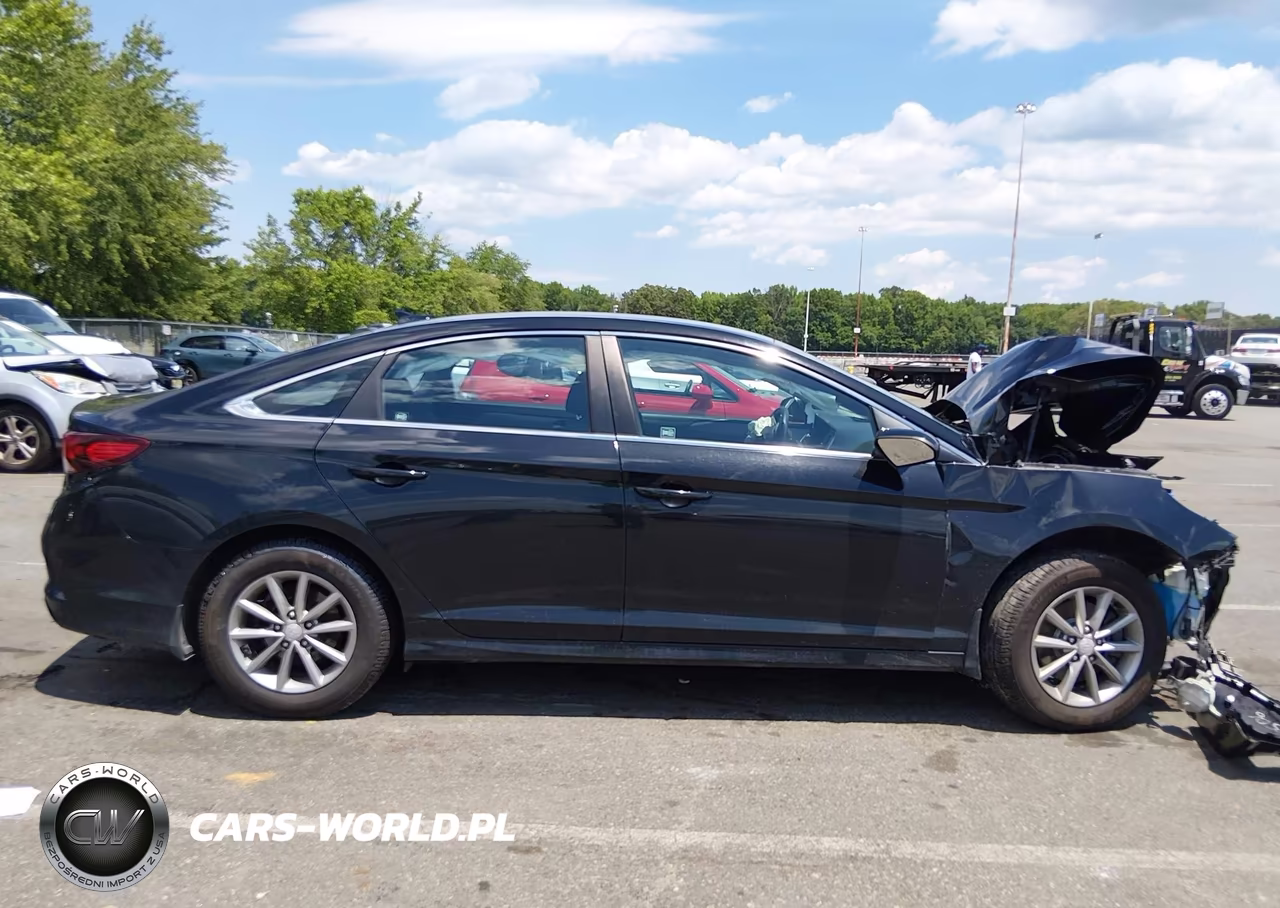 2019 Hyundai Sonata Se VIN:5NPE24AF9KH805916 - 13
