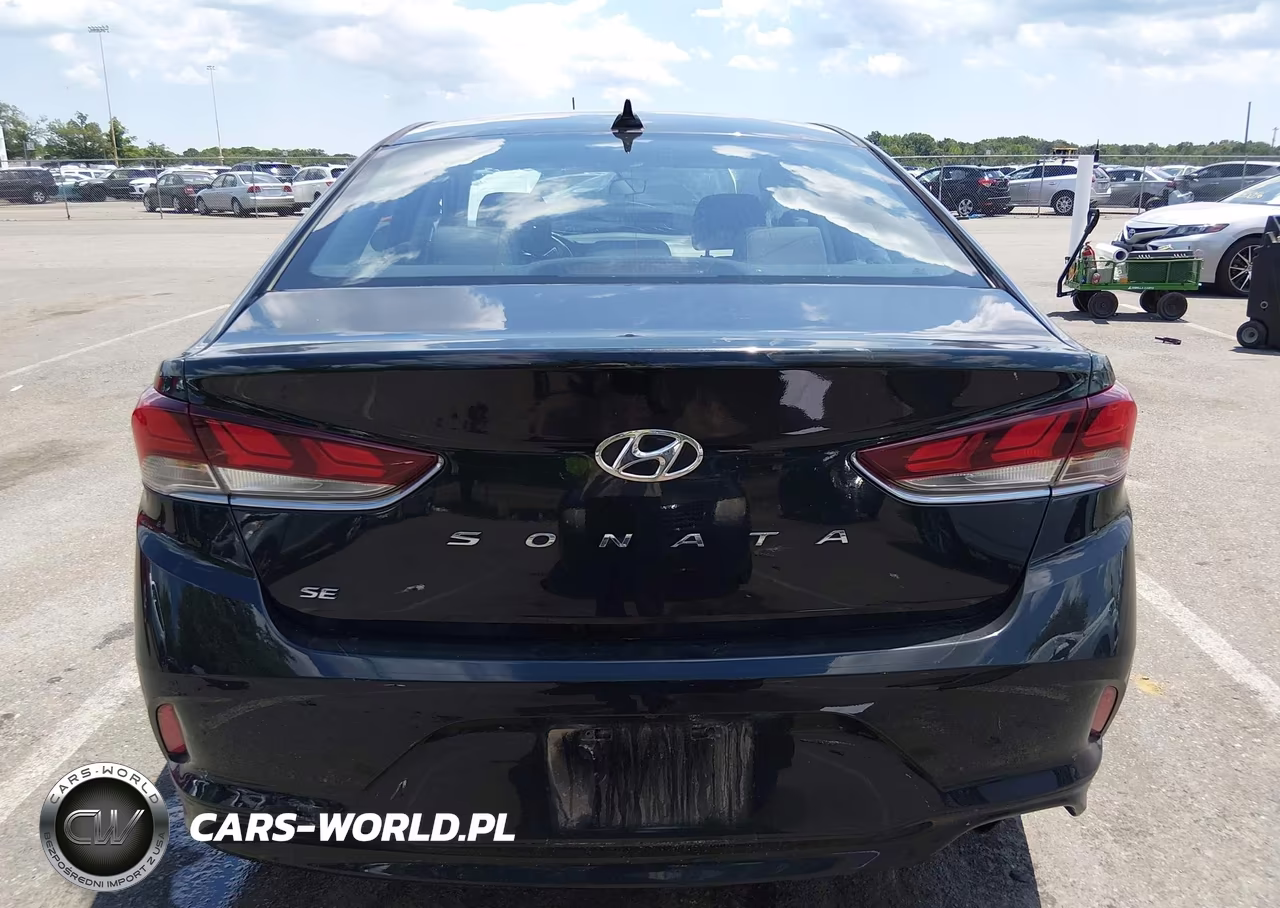2019 Hyundai Sonata Se VIN:5NPE24AF9KH805916 - 16