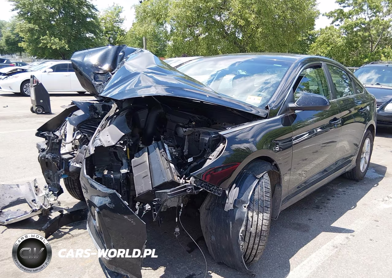 2019 Hyundai Sonata Se VIN:5NPE24AF9KH805916 - 2
