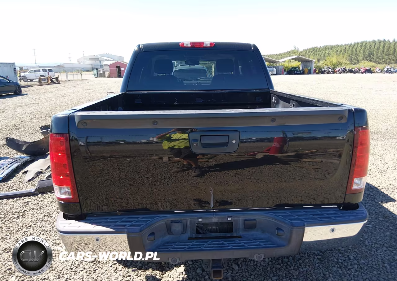 2010 GMC Sierra 1500 Slt VIN:3GTRKWE30AG151862 - 17