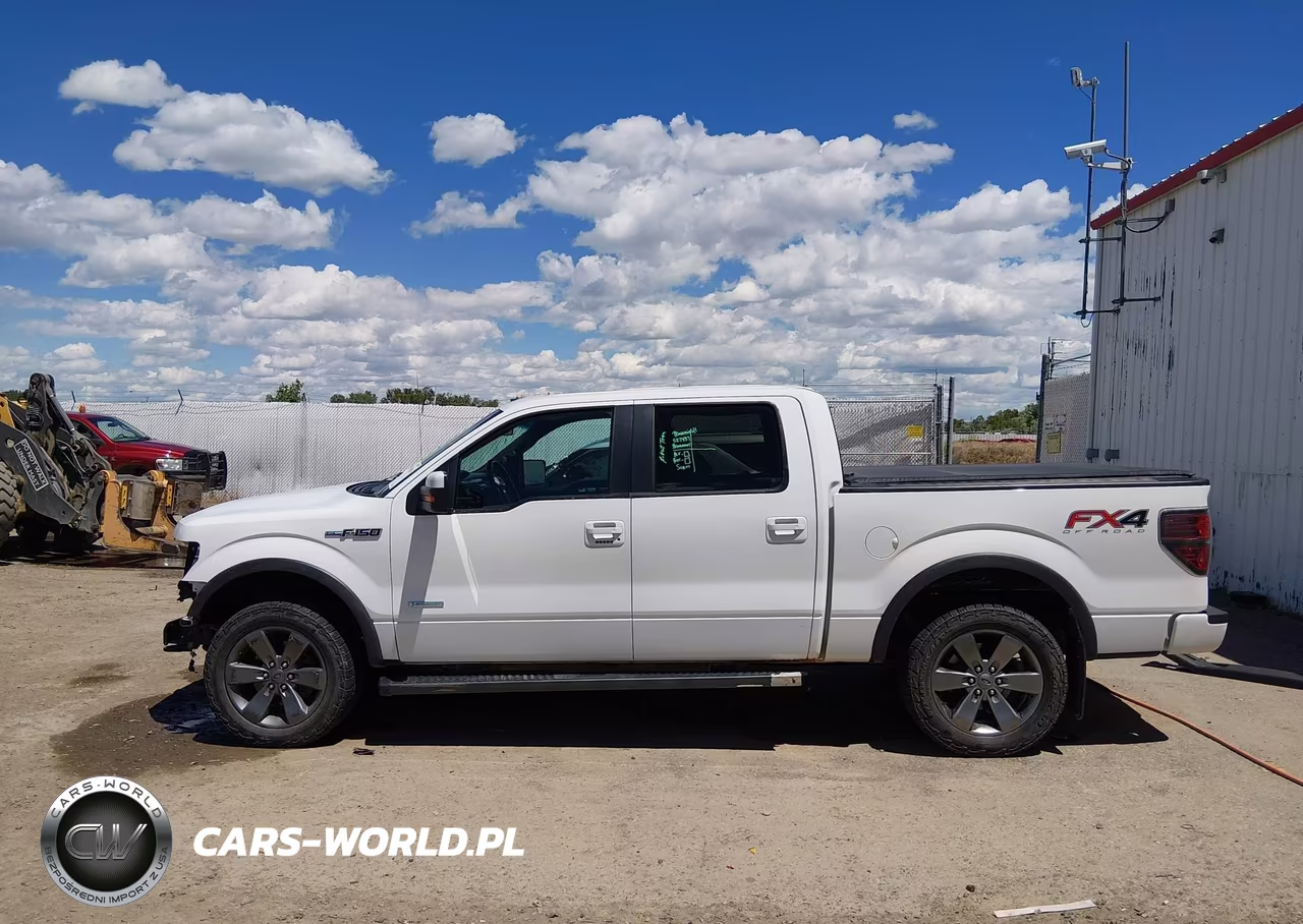 2014 Ford F-150 Fx4 VIN:1FTFW1ET4EFB51333 - 15