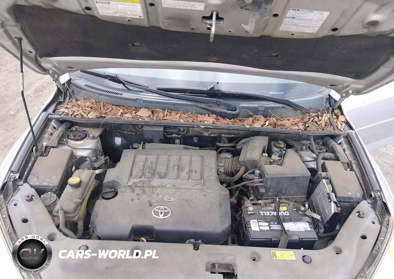 2009 Toyota Rav4 Limited V6 VIN:2T3ZK31V89W002245 - 10
