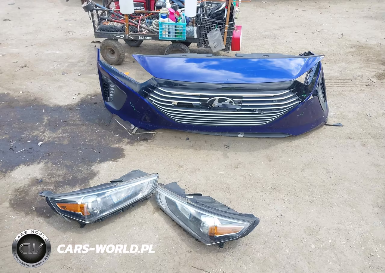 2019 Hyundai Ioniq Hybrid Sel VIN:KMHC75LC9KU120673 - 12