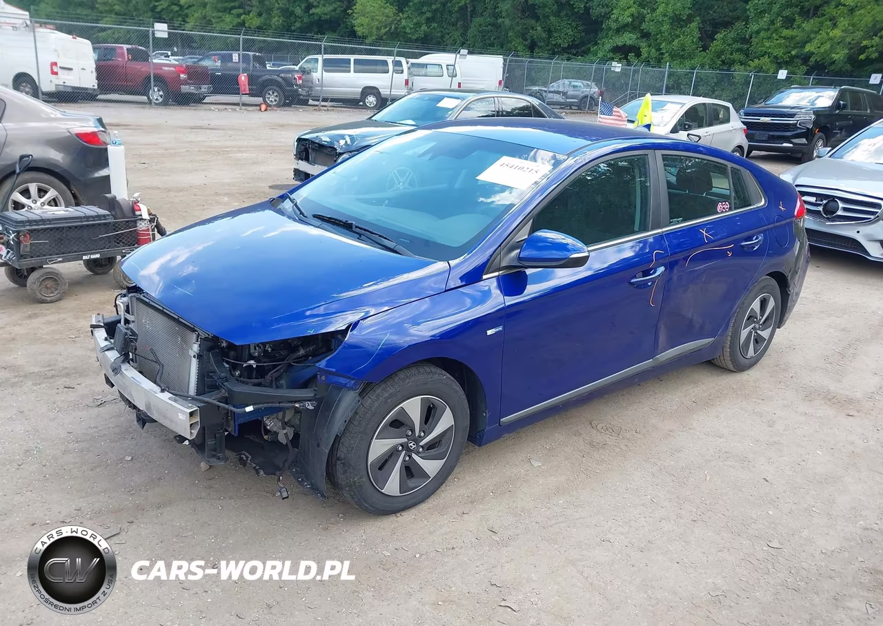 2019 Hyundai Ioniq Hybrid Sel VIN:KMHC75LC9KU120673 - 2