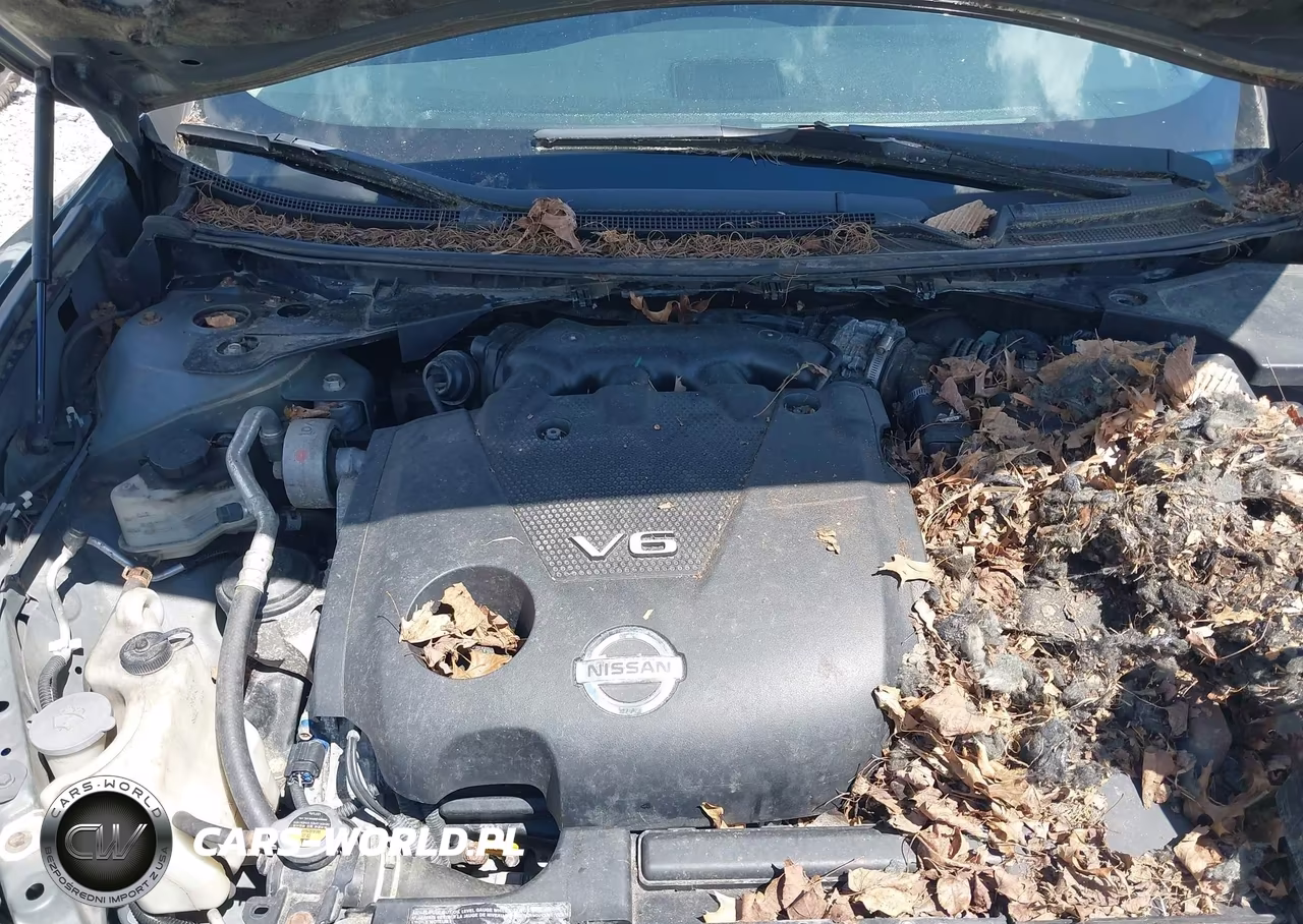 2010 Nissan Maxima 3.5 Sv VIN:1N4AA5AP5AC858712 - 10