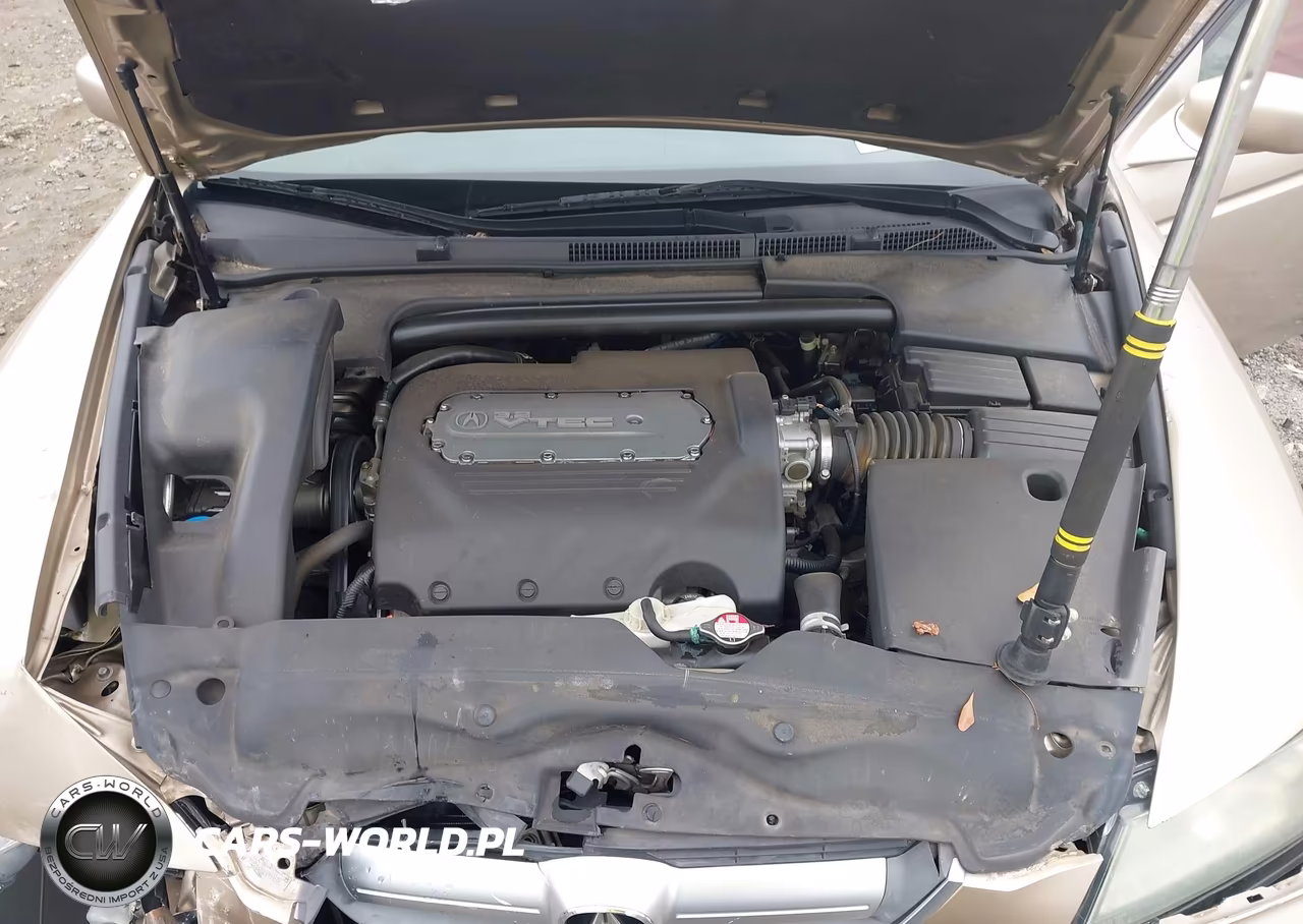 2005 Acura Tl VIN:19UUA66295A080878 - 10