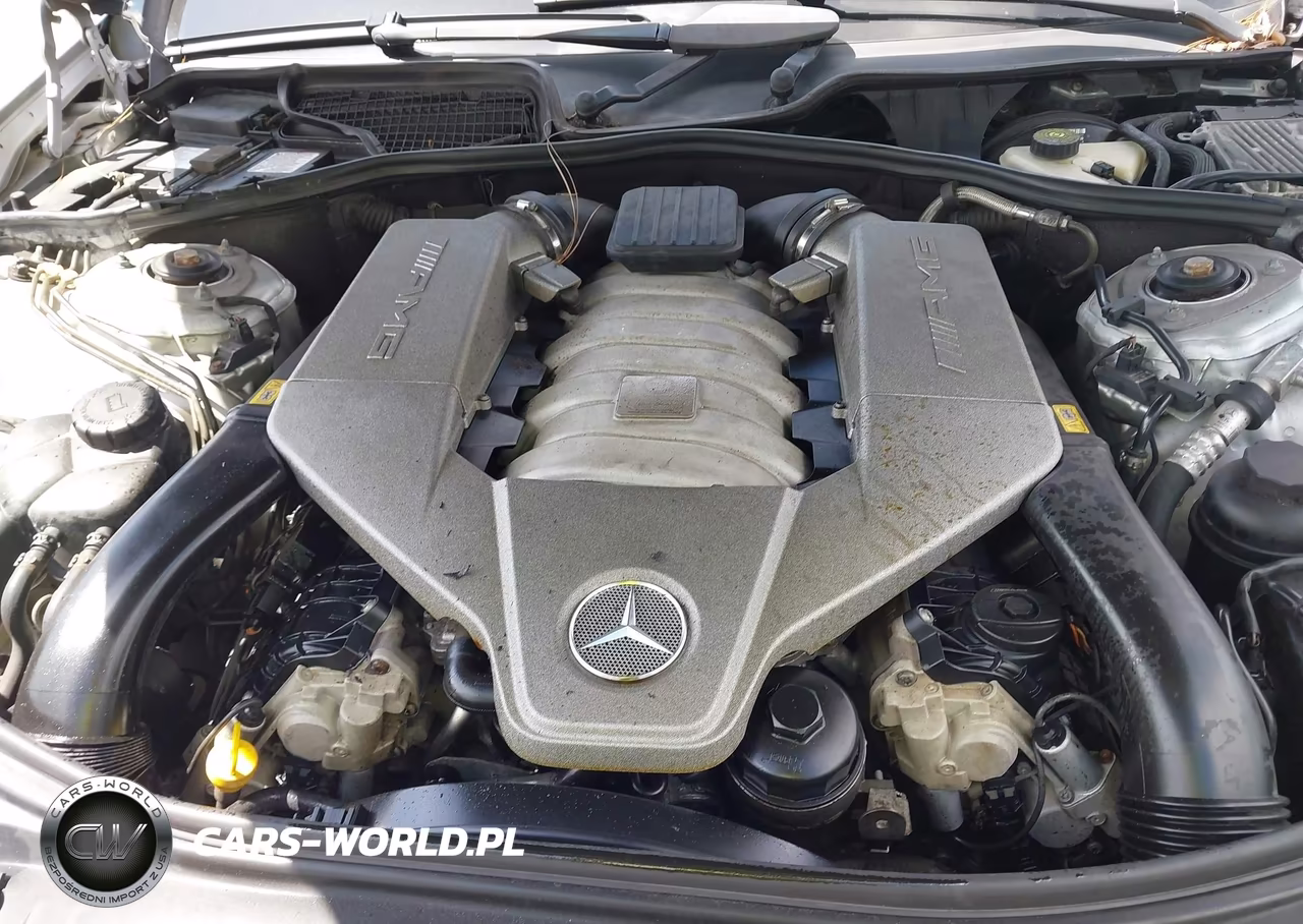 2008 Mercedes-Benz S 63 Amg VIN:WDDNG77X68A189195 - 10