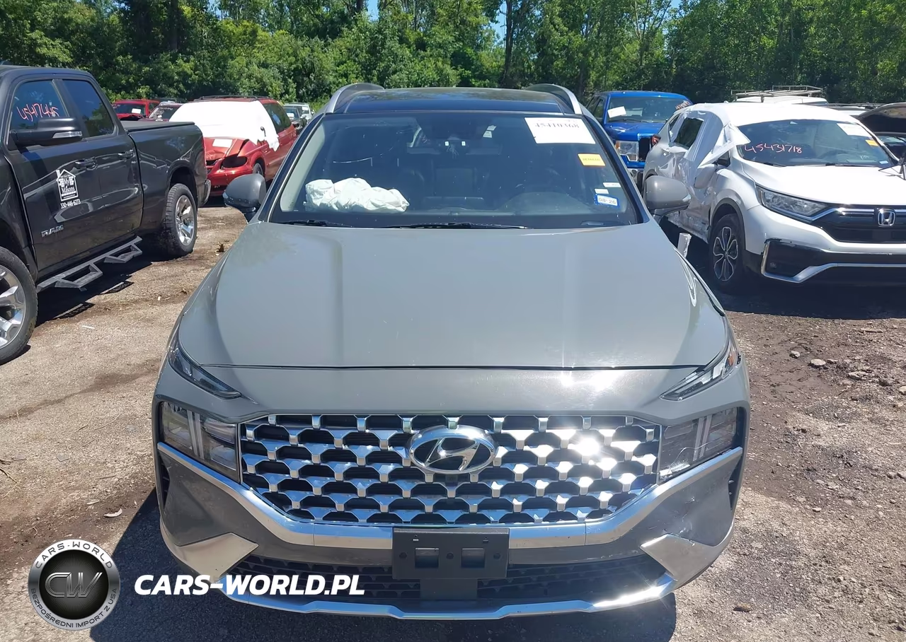 2023 Hyundai Santa Fe Sel VIN:5NMS3DAJ6PH590519 - 12