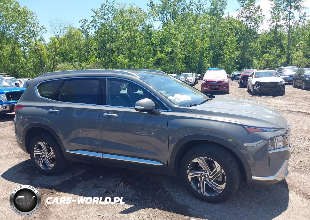 2023 Hyundai Santa Fe Sel VIN:5NMS3DAJ6PH590519 - 13