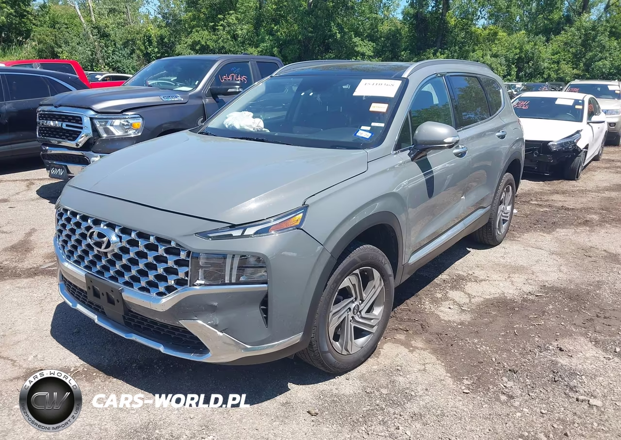 2023 Hyundai Santa Fe Sel VIN:5NMS3DAJ6PH590519 - 2
