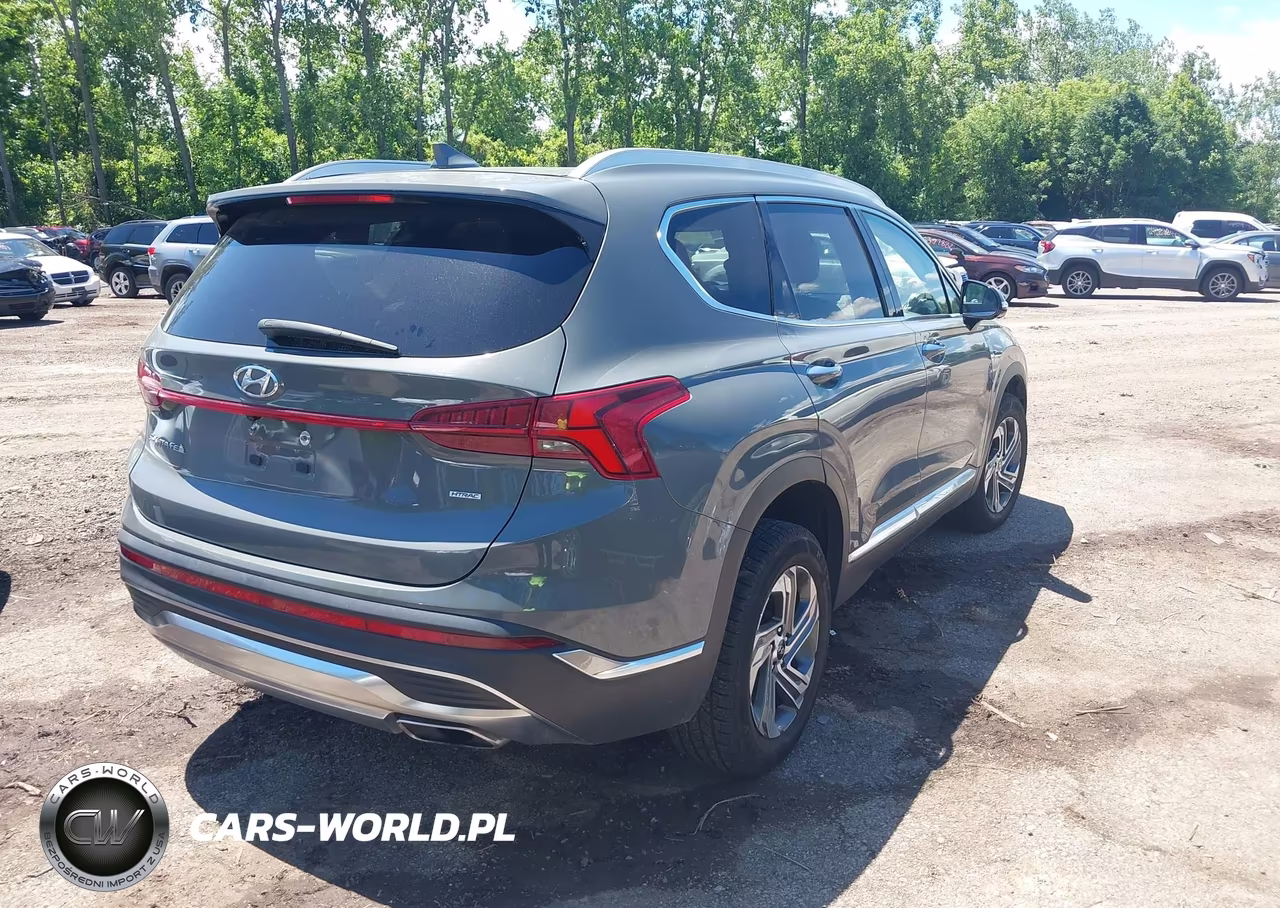 2023 Hyundai Santa Fe Sel VIN:5NMS3DAJ6PH590519 - 4