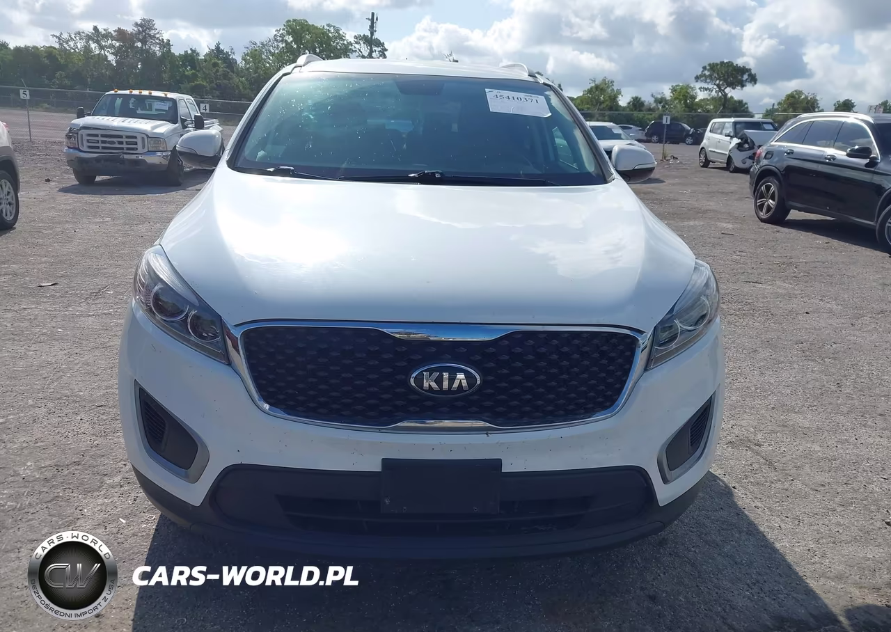 2016 Kia Sorento 3.3L Lx VIN:5XYPG4A51GG141451 - 12