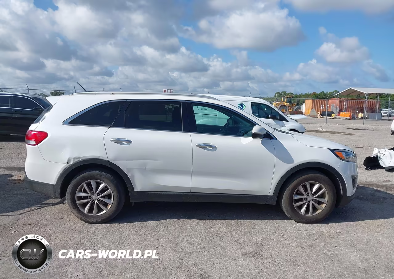 2016 Kia Sorento 3.3L Lx VIN:5XYPG4A51GG141451 - 13