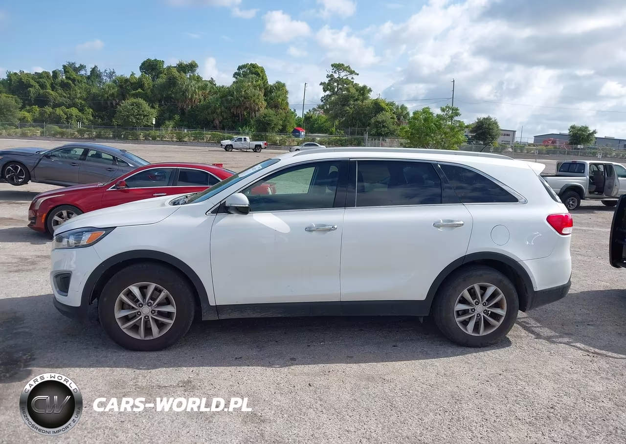 2016 Kia Sorento 3.3L Lx VIN:5XYPG4A51GG141451 - 14