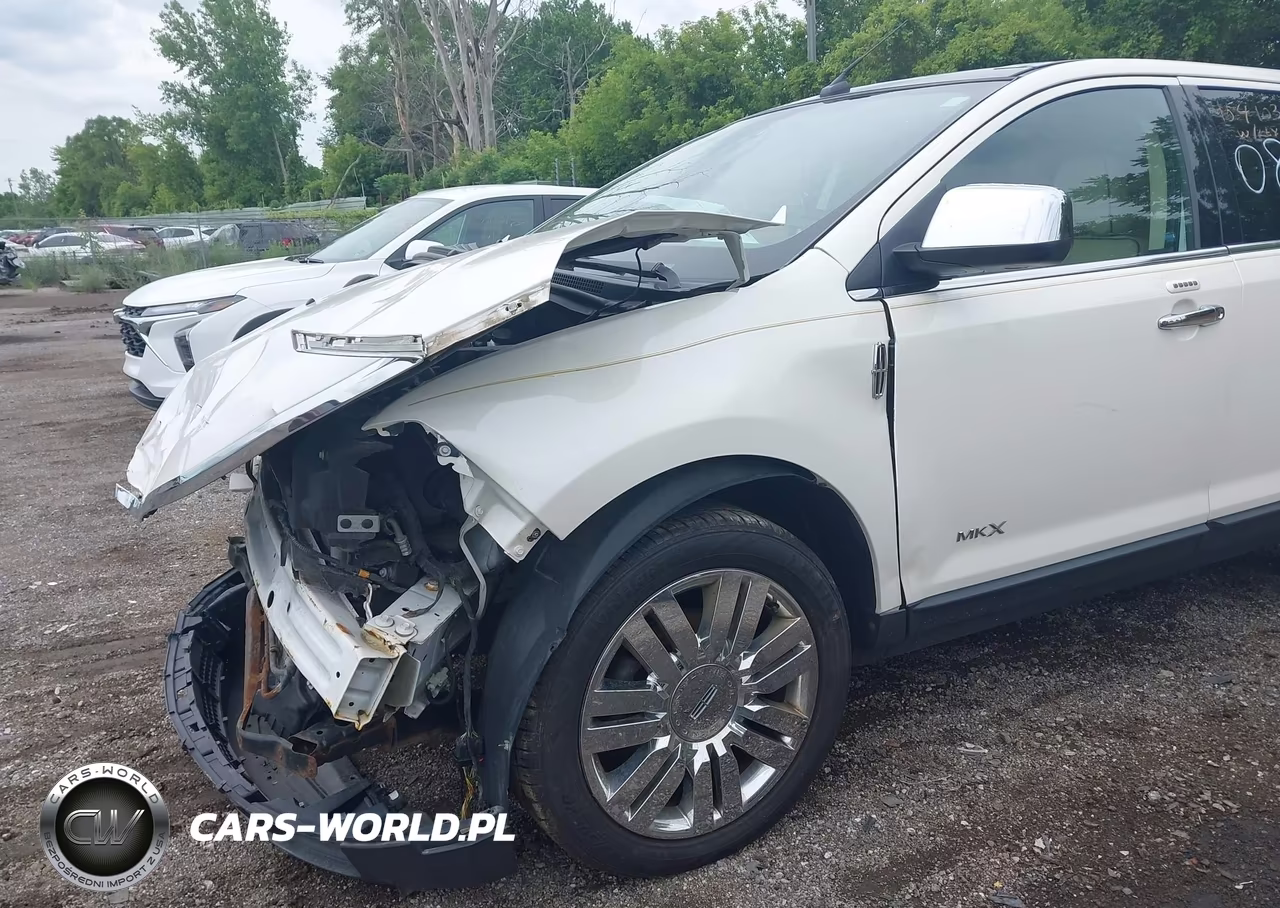 2010 Lincoln Mkx VIN:2LMDJ8JC4ABJ10894 - 6