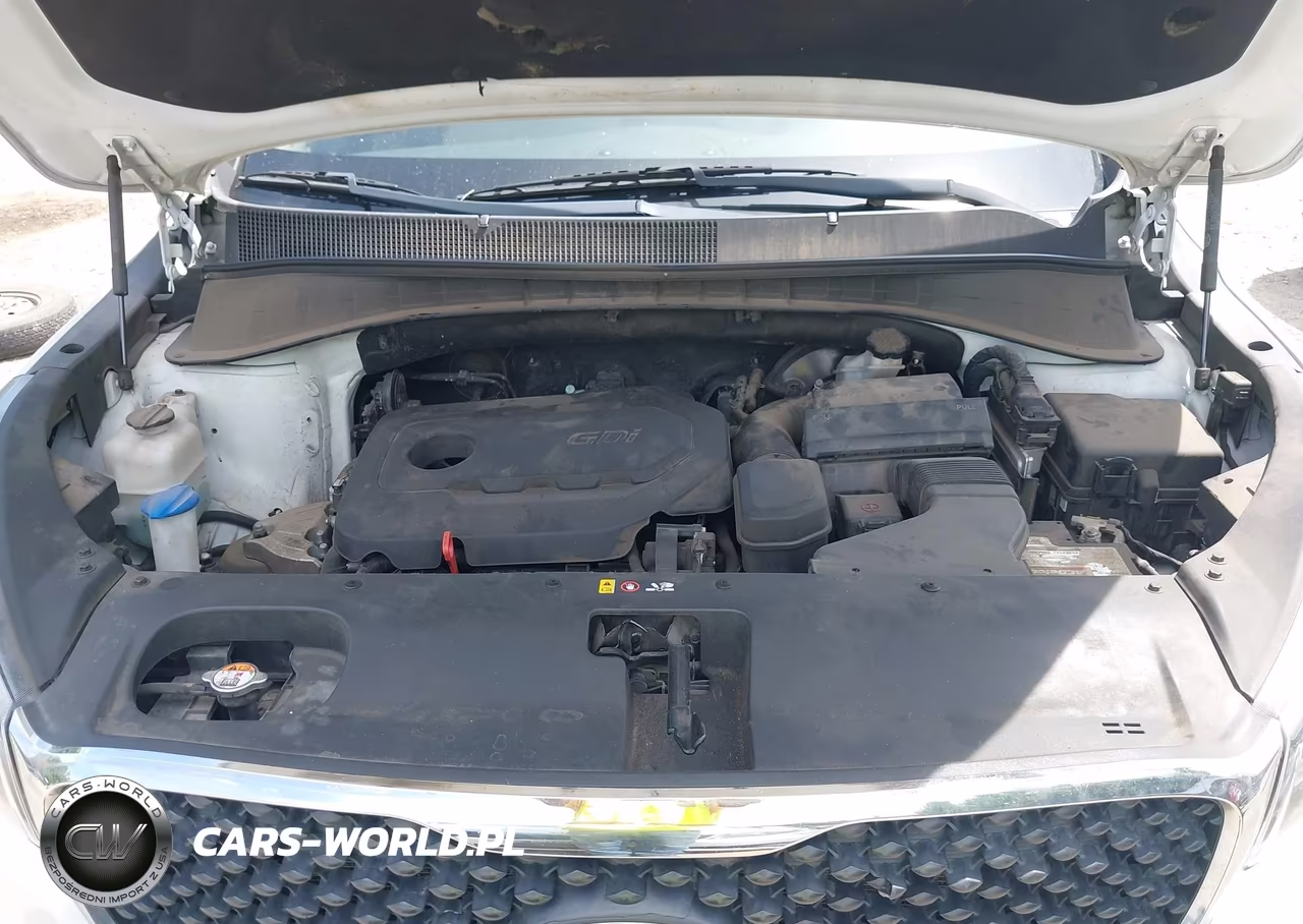 2016 Kia Sorento 2.4L Lx VIN:5XYPG4A30GG048399 - 10