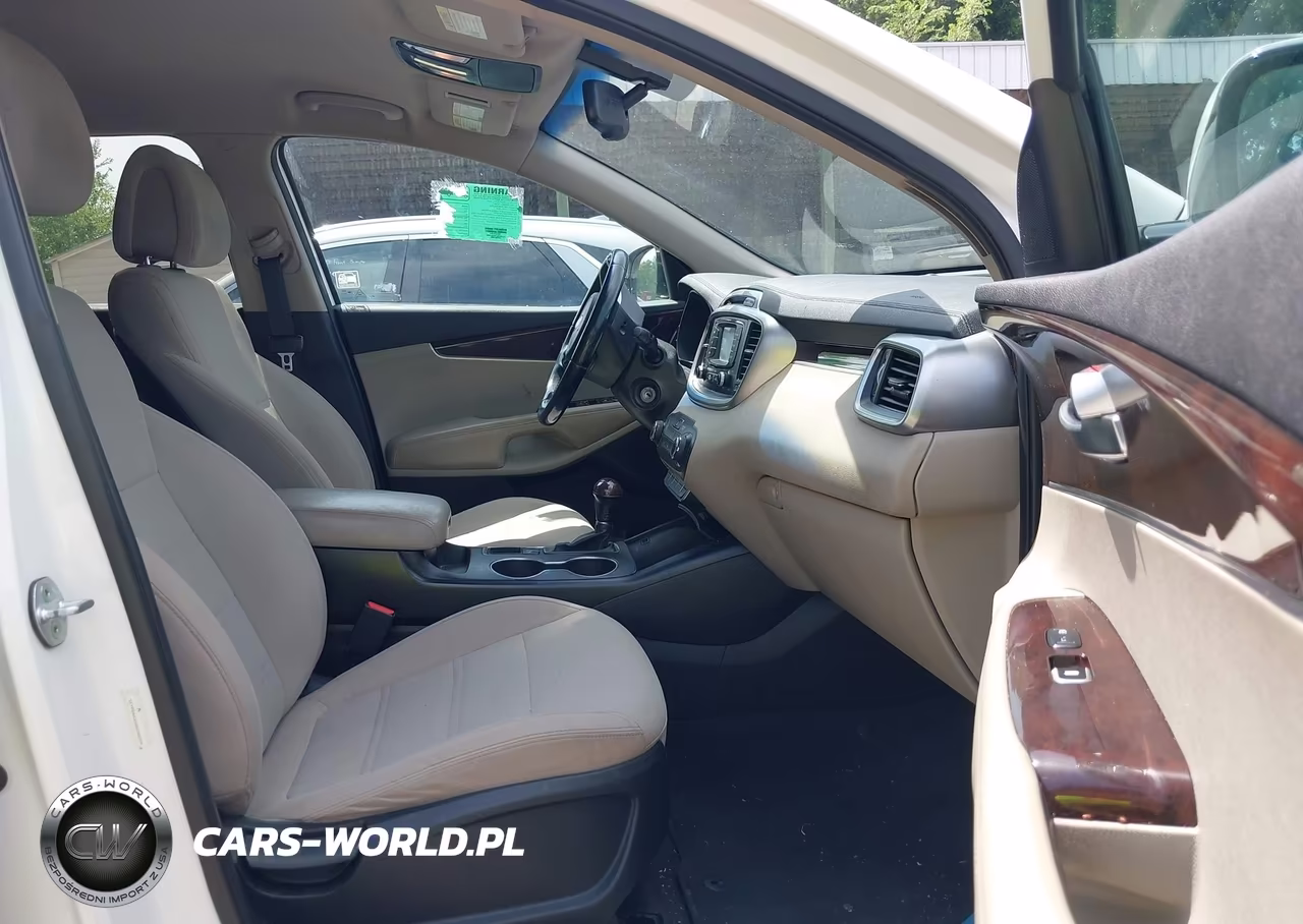 2016 Kia Sorento 2.4L Lx VIN:5XYPG4A30GG048399 - 5