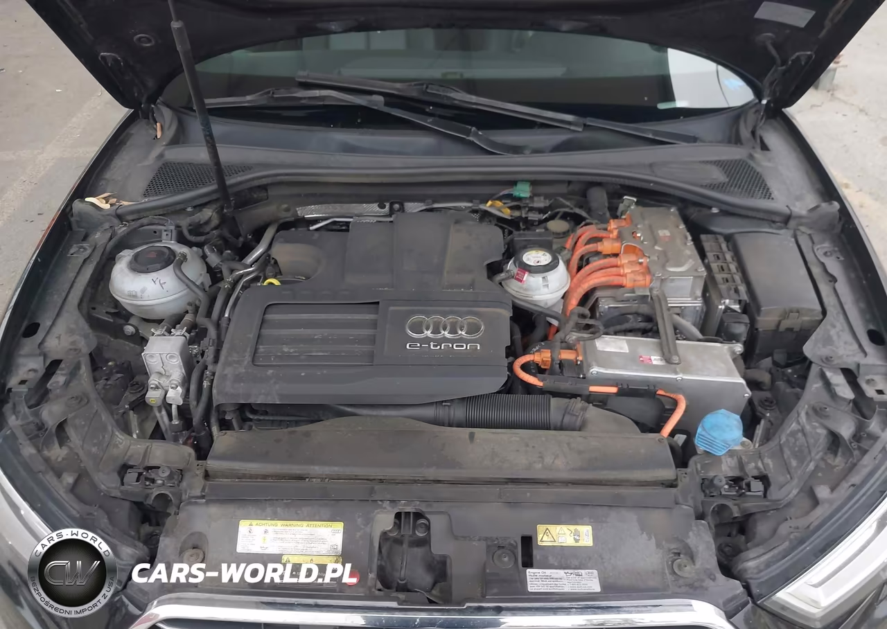 2018 Audi A3 E-Tron 1.4T Premium-1.4T Tech Premium VIN:WAUTPBFF1JA080031 - 10