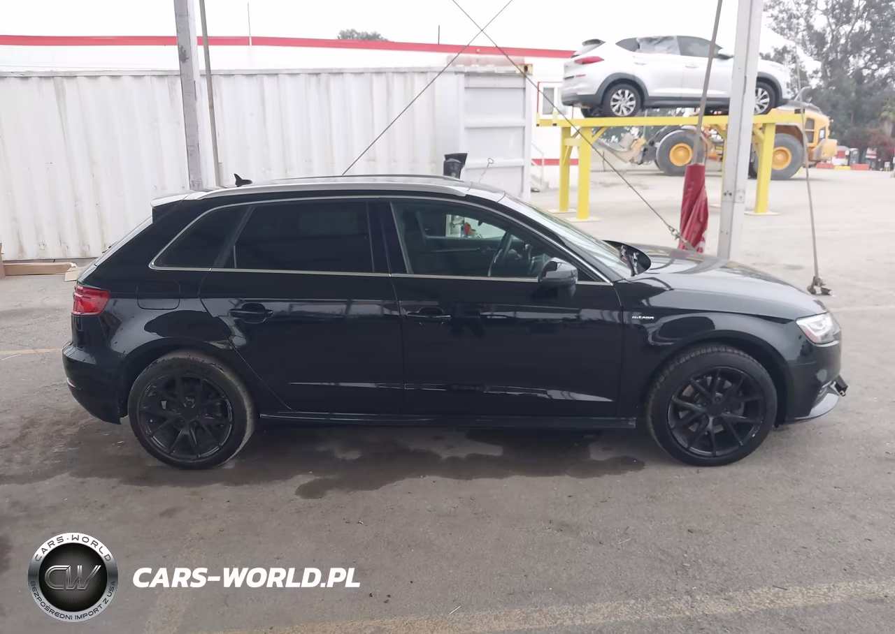 2018 Audi A3 E-Tron 1.4T Premium-1.4T Tech Premium VIN:WAUTPBFF1JA080031 - 13