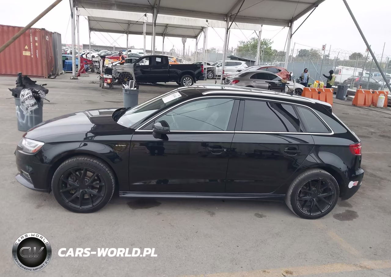 2018 Audi A3 E-Tron 1.4T Premium-1.4T Tech Premium VIN:WAUTPBFF1JA080031 - 14