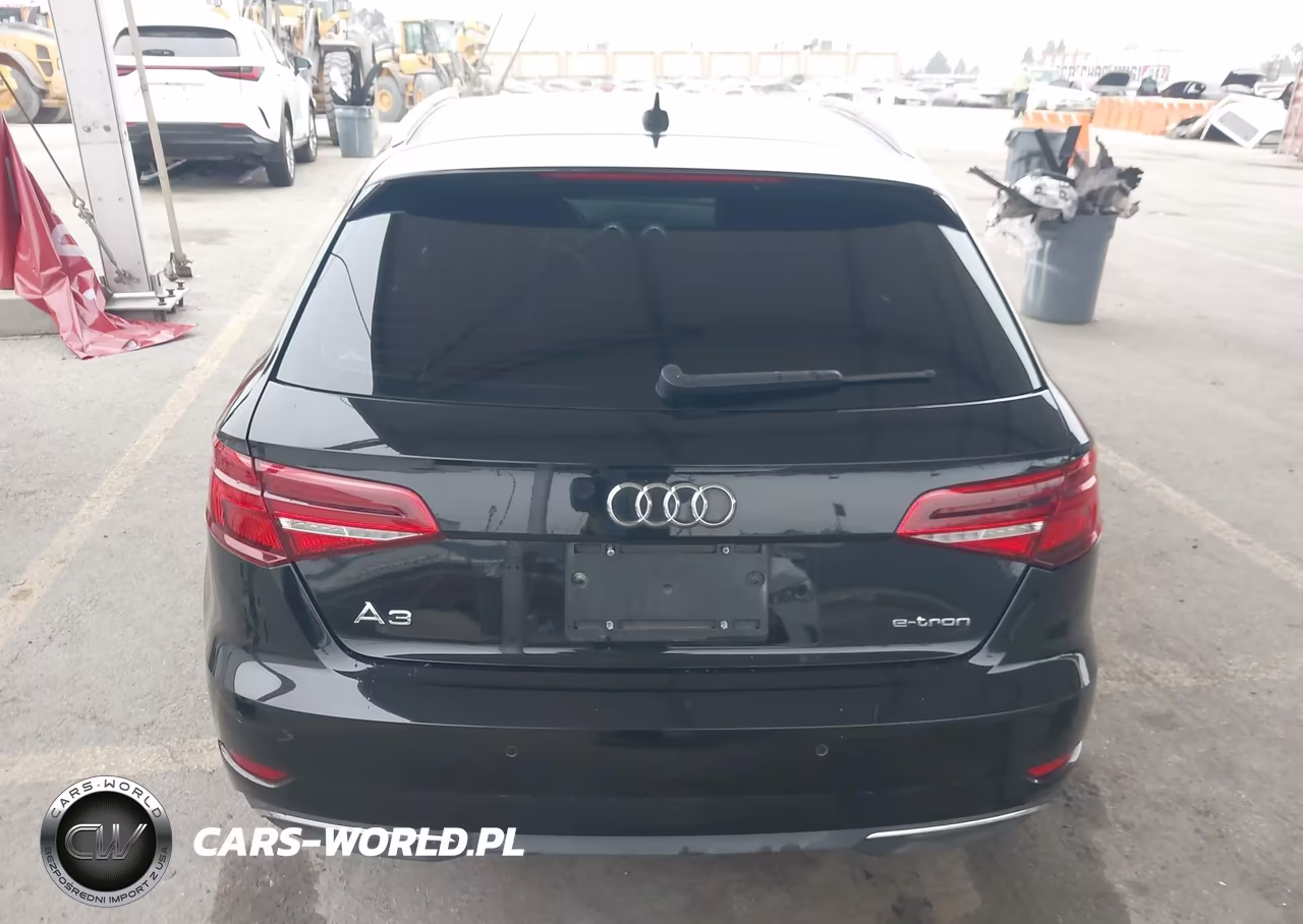2018 Audi A3 E-Tron 1.4T Premium-1.4T Tech Premium VIN:WAUTPBFF1JA080031 - 16