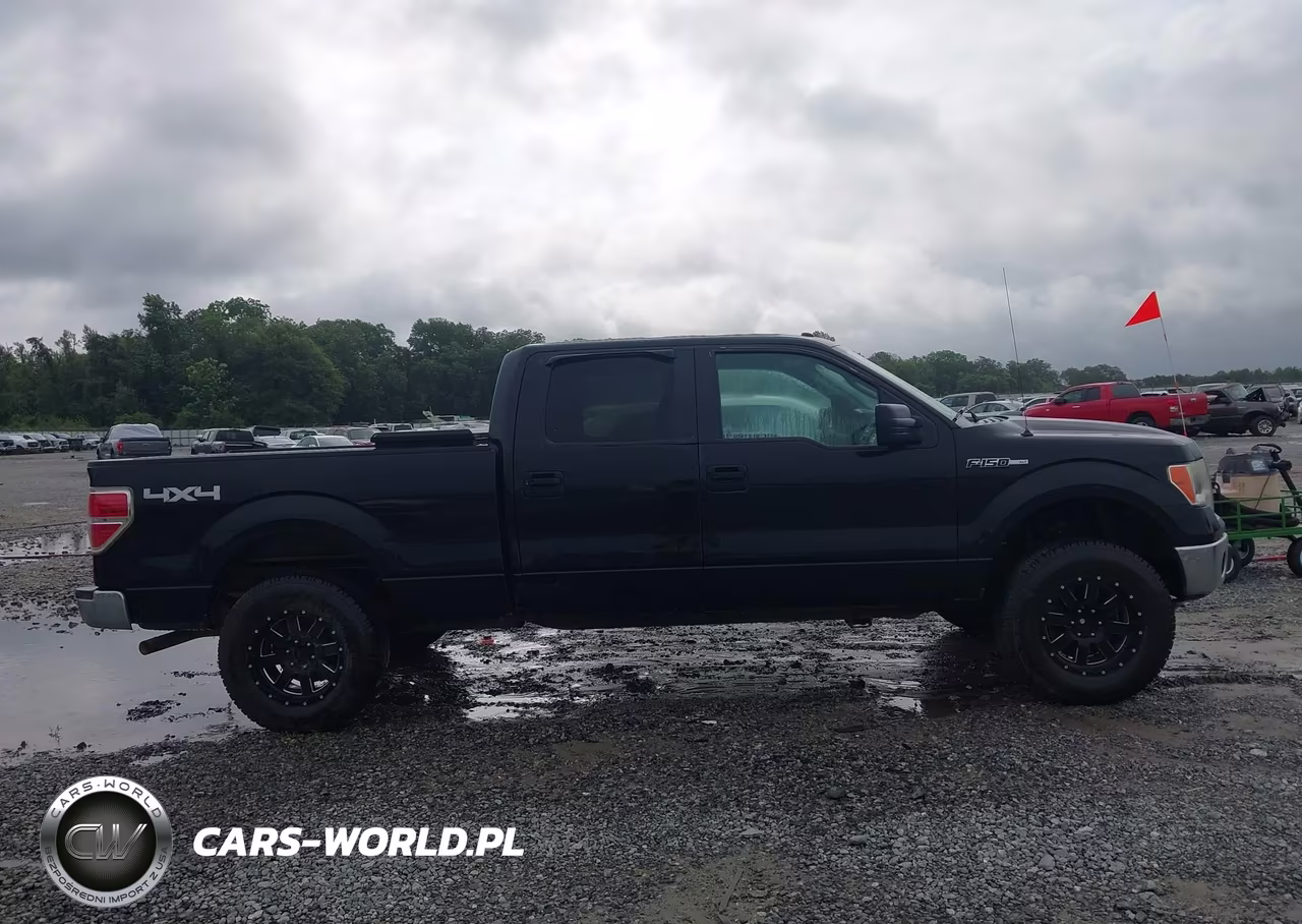 2014 Ford F-150 Xlt VIN:1FTFW1EF7EFB50655 - 13