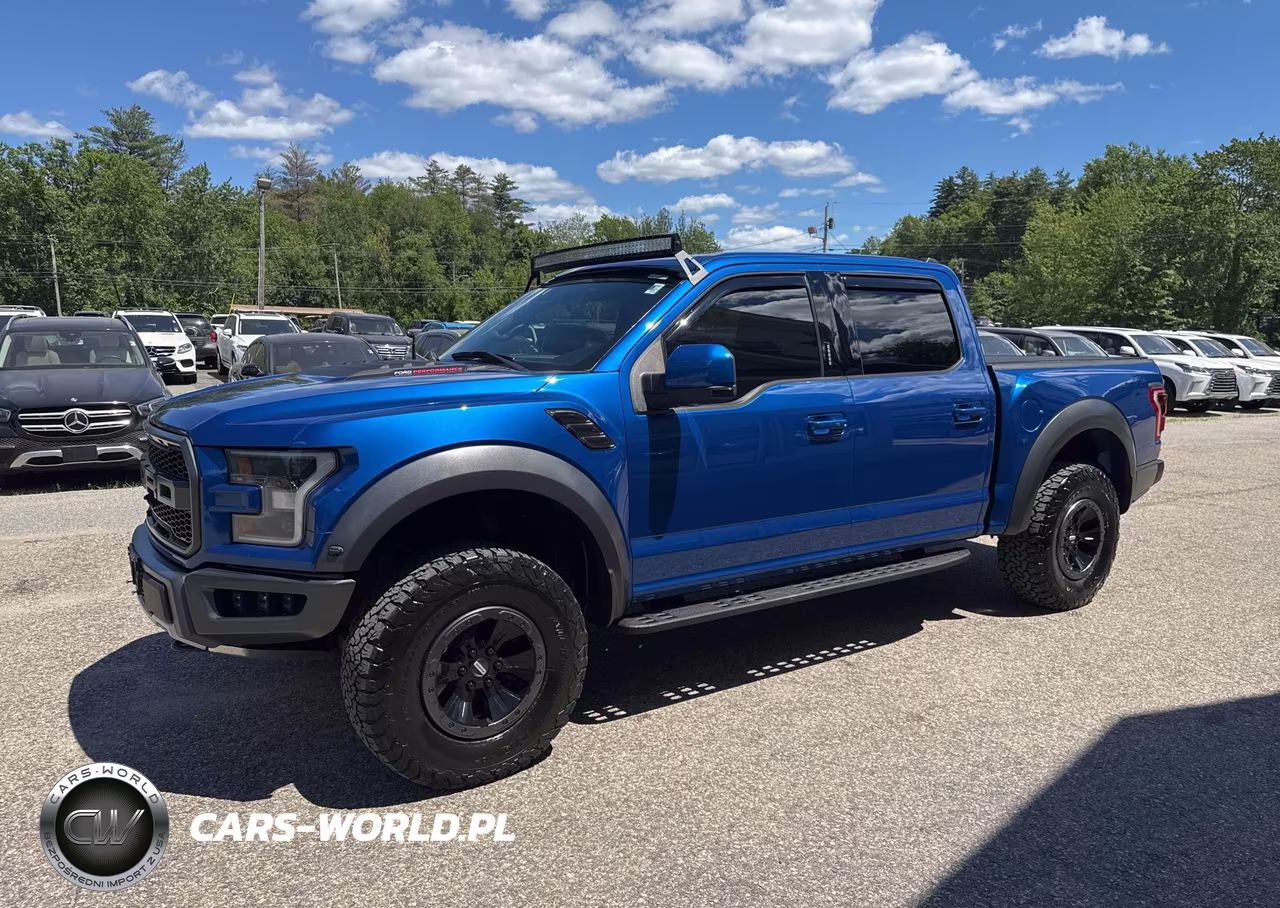 2018 Ford F150 Raptor VIN:1FTFW1RG6JFD78398 - 2
