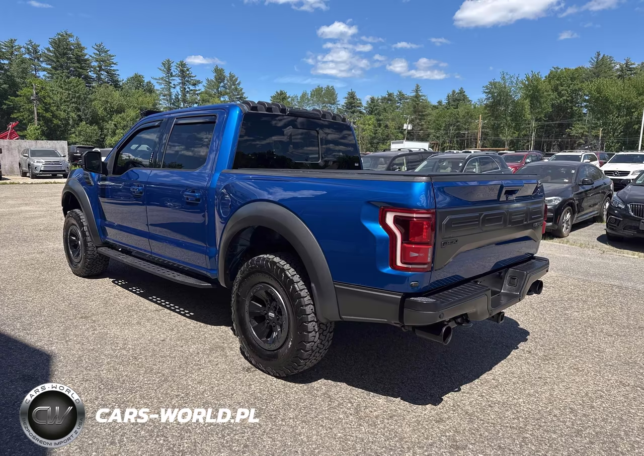 2018 Ford F150 Raptor VIN:1FTFW1RG6JFD78398 - 3
