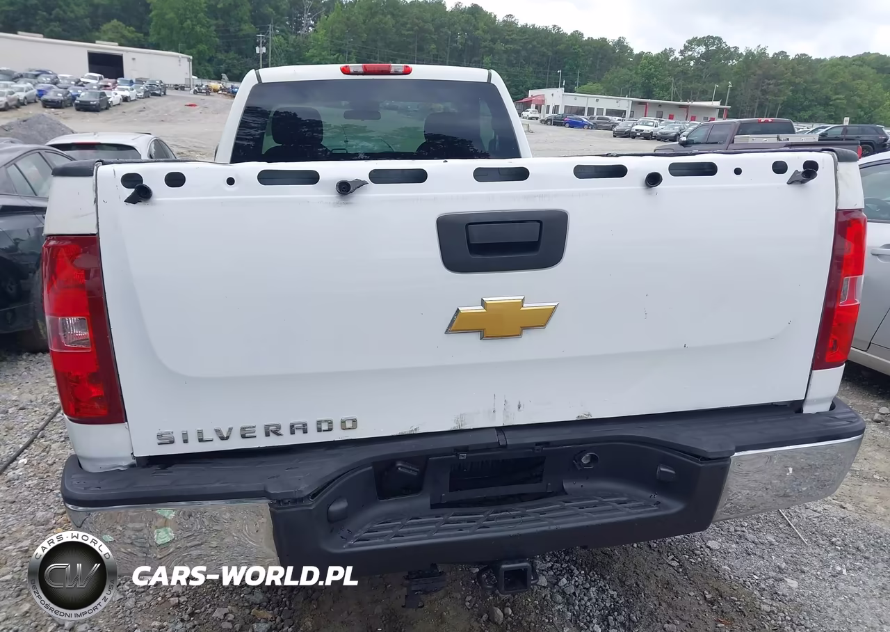 2013 Chevrolet Silverado 1500 Work Truck VIN:1GCNCPEX7DZ173155 - 12