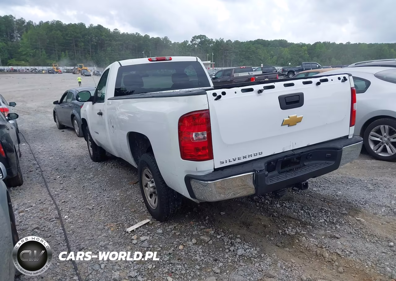 2013 Chevrolet Silverado 1500 Work Truck VIN:1GCNCPEX7DZ173155 - 3