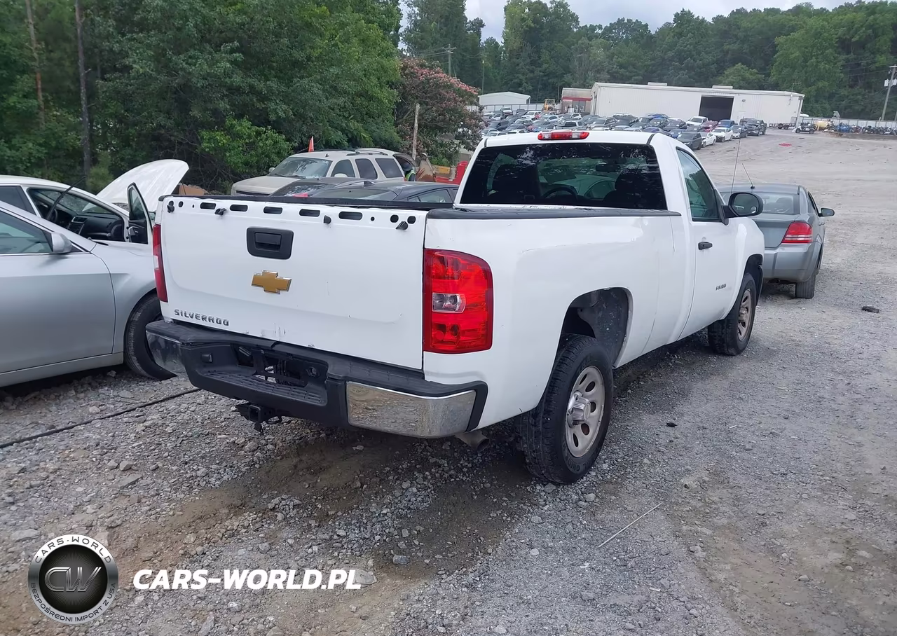 2013 Chevrolet Silverado 1500 Work Truck VIN:1GCNCPEX7DZ173155 - 4