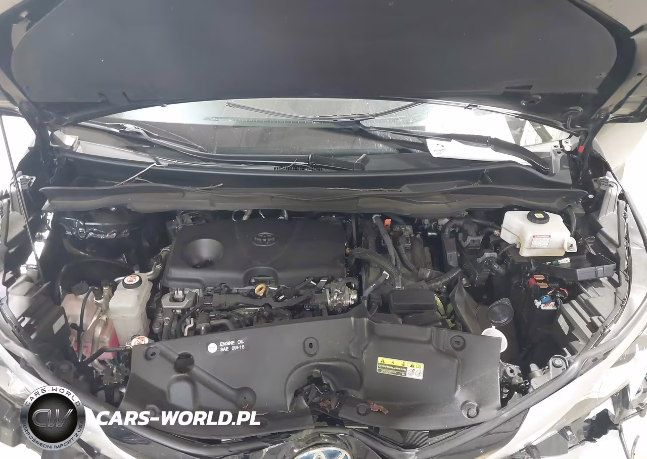 2023 Toyota Sienna Platinum VIN:5TDERKEC3PS178034 - 10