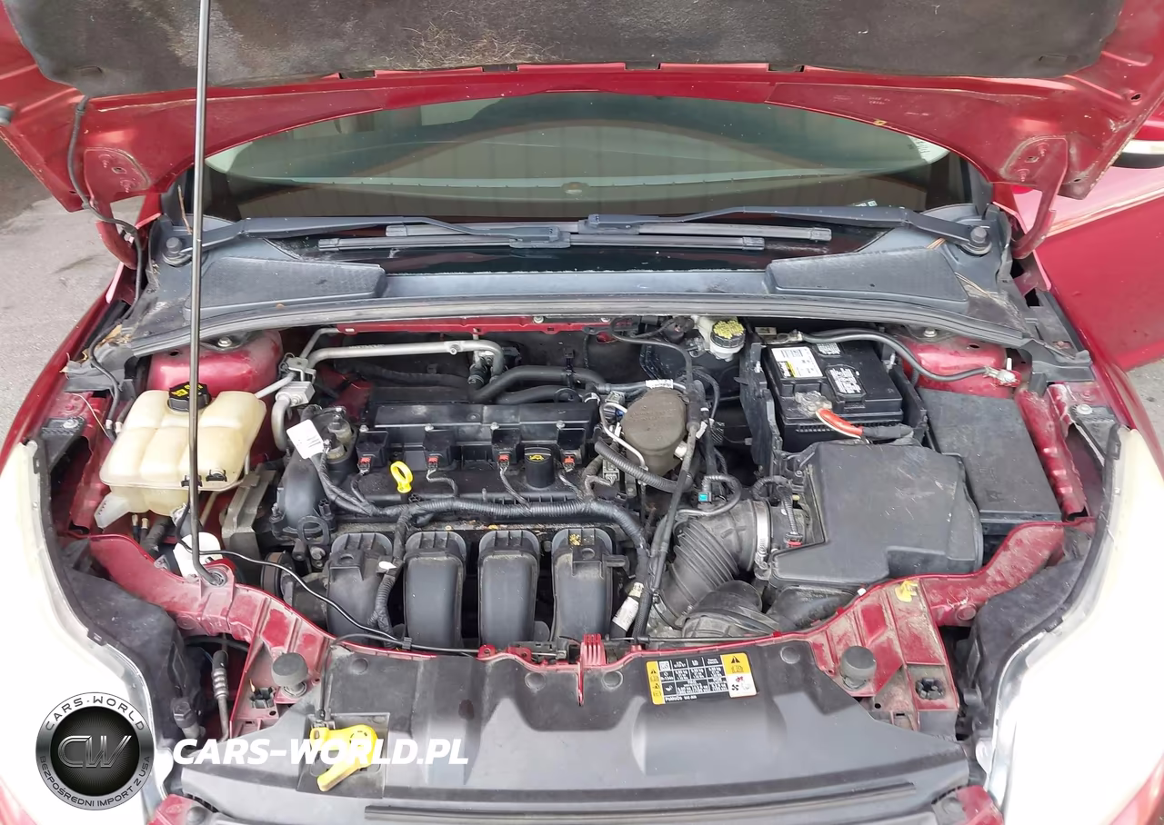 2014 Ford Focus Se VIN:1FADP3K2XEL444303 - 10