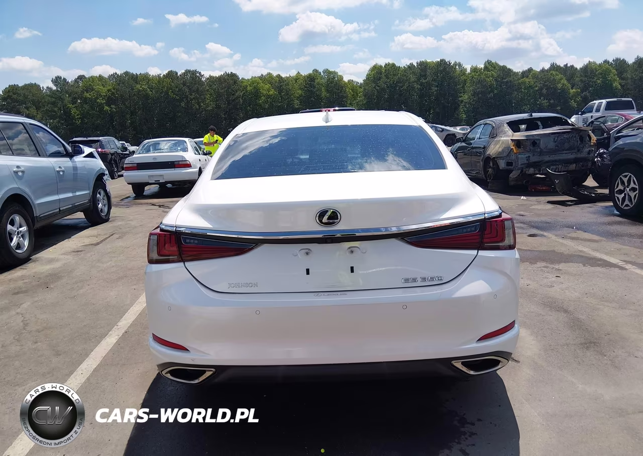 2020 Lexus Es 350 VIN:58ADZ1B14LU053045 - 16