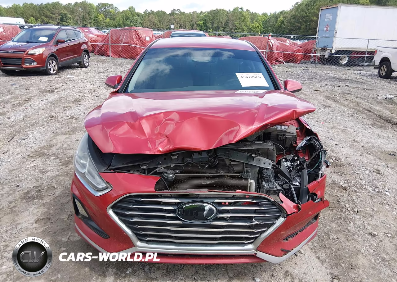 2019 Hyundai Sonata Se VIN:5NPE24AF3KH798381 - 12