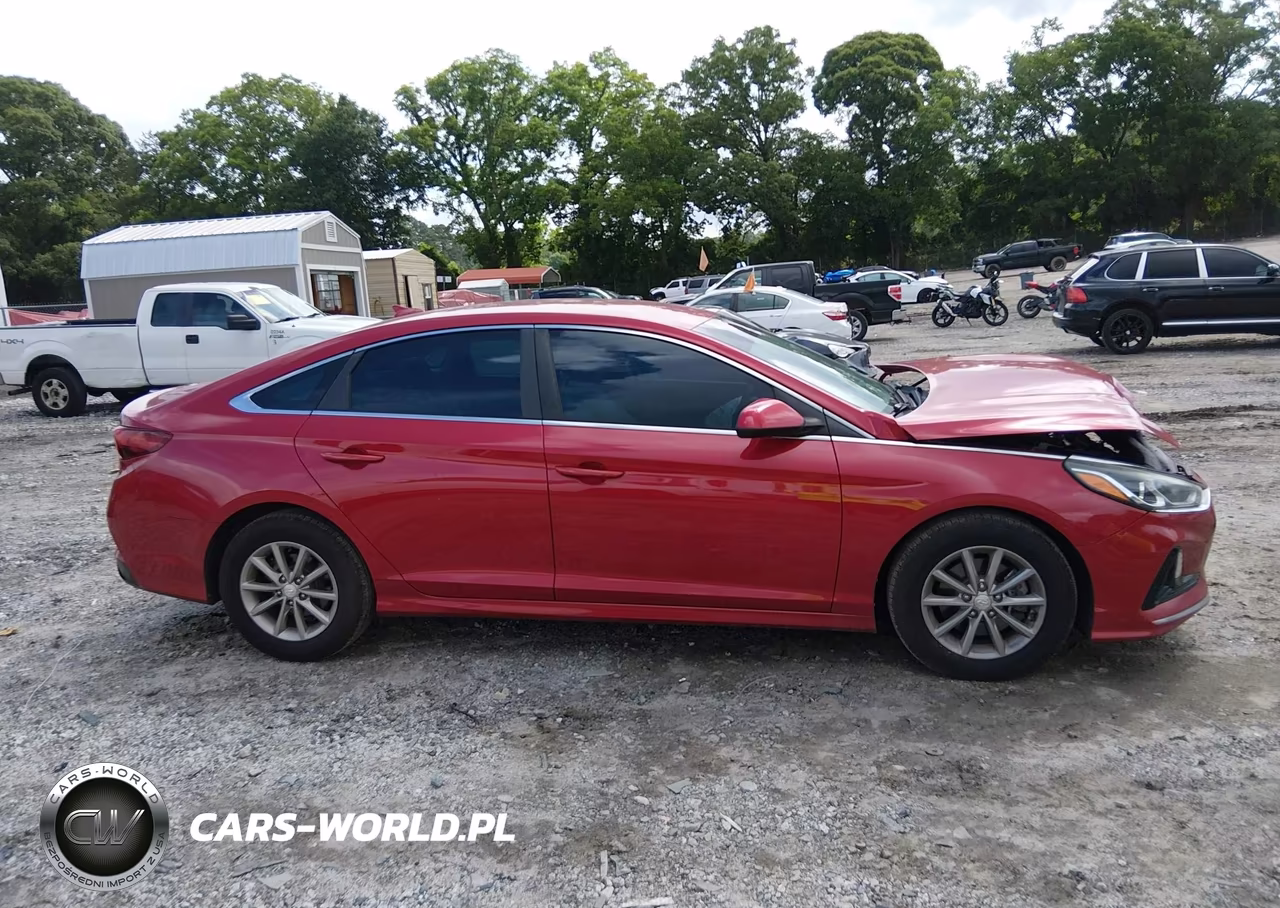2019 Hyundai Sonata Se VIN:5NPE24AF3KH798381 - 13