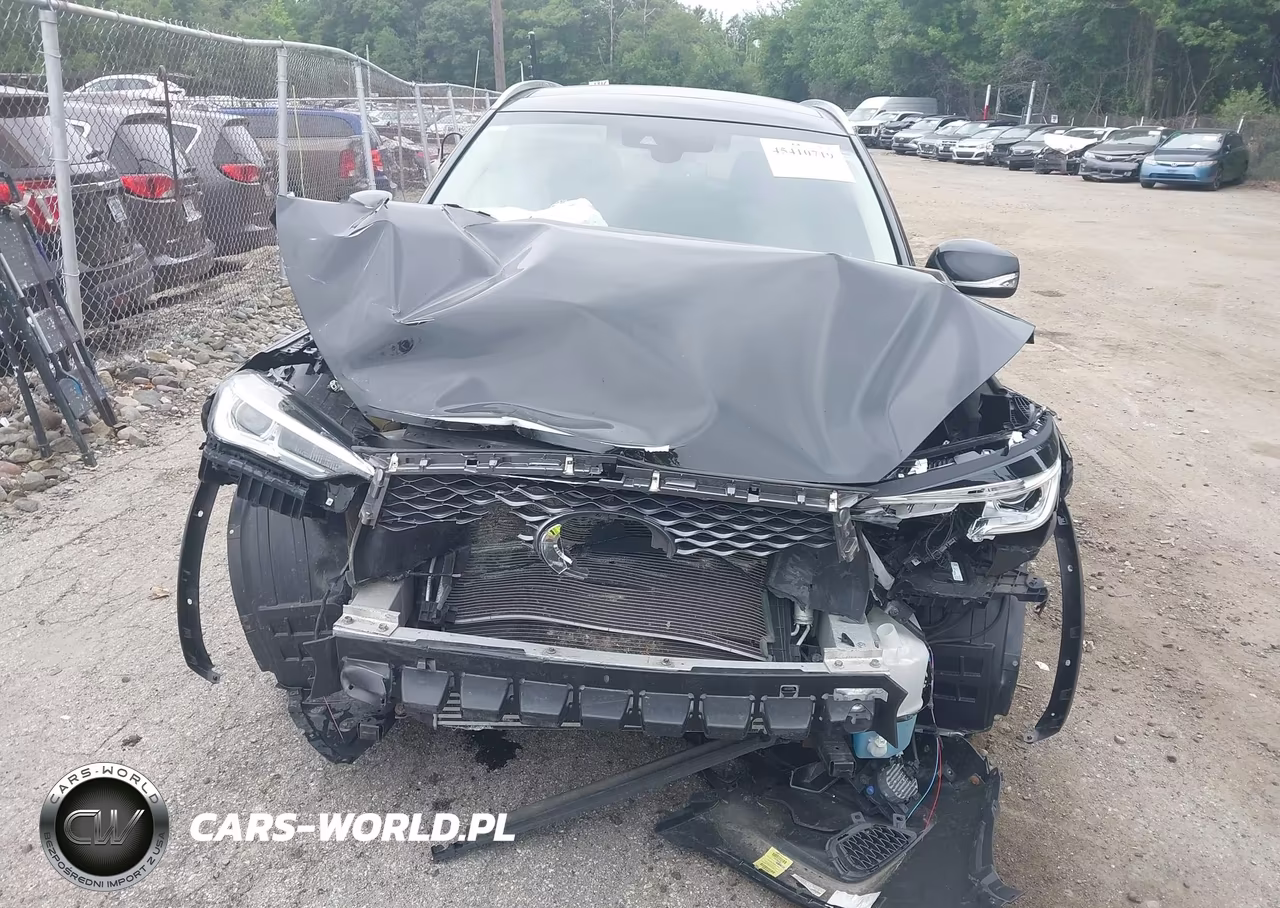 2019 Infiniti Qx50 Luxe VIN:3PCAJ5M38KF144791 - 12